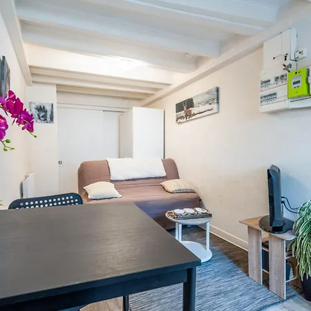 Paquier Studio - At The Gates Of The Old Town Annecy Extérieur photo